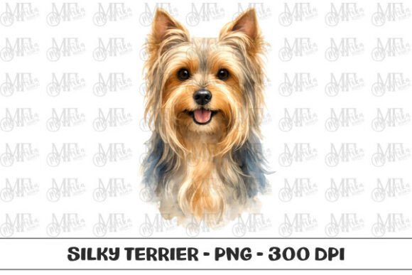 Download Silky Terrier Watercolor Portrait PNG - Silk Collection