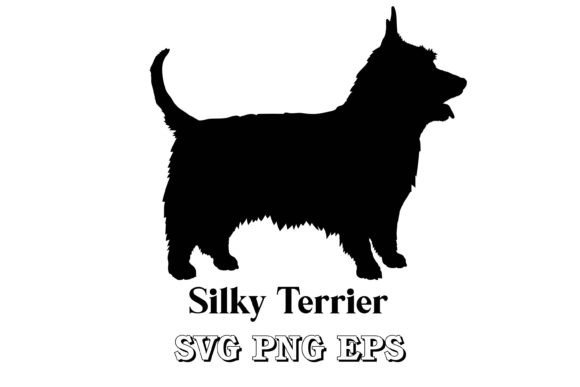 Download Silky Terrier Silhouette Dog Breed - Silk Collection